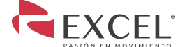 Logo Excel